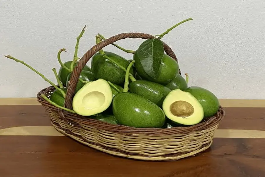 Alanya Avocado: The Delicious Fruit That’s Gaining Popularity Among Tourists and Locals
